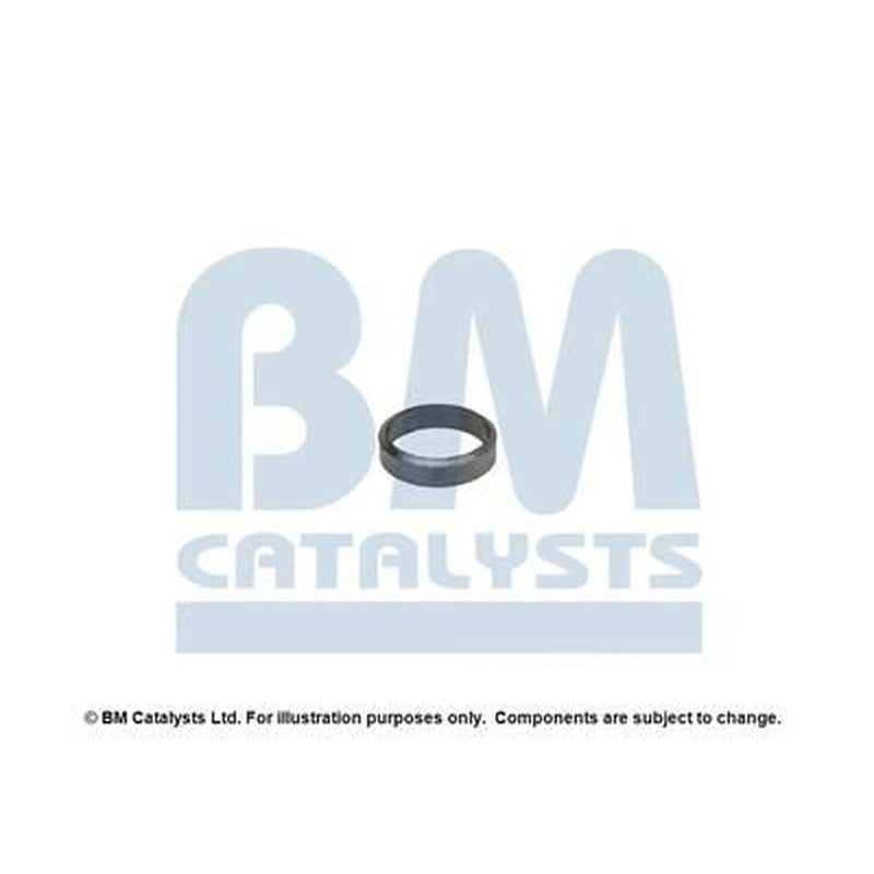 BM Catalysts Fitting Kit FK90624A FK90624A