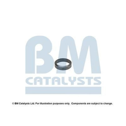 BM Catalysts Fitting Kit FK91329A FK91329A