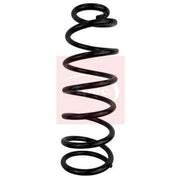 Apec Rear Suspension Coil Spring ACS1701