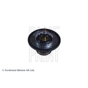Blue Print Thermostat,Coolant ADG09250