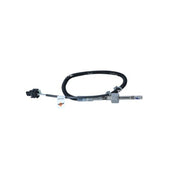 NRF Exhaust Gas Temperature Sensor before soot partic 707242