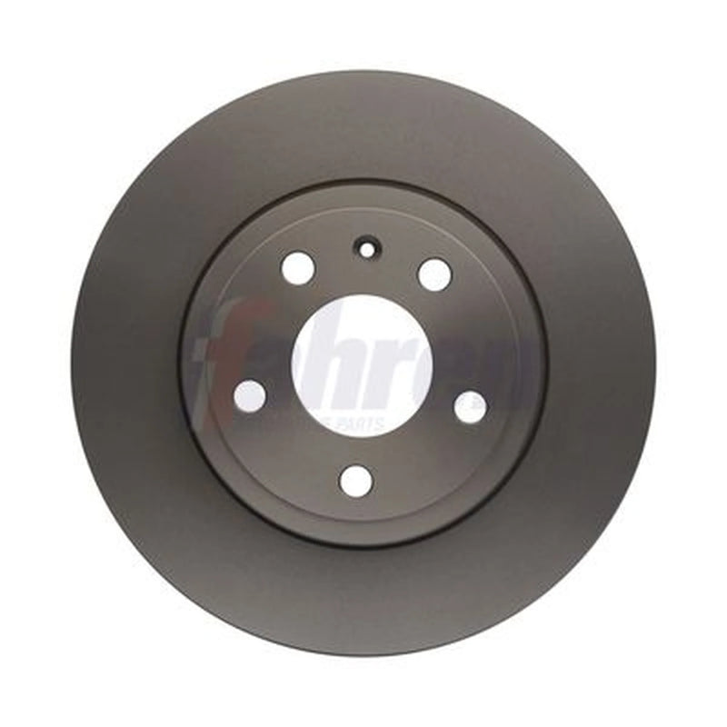 Fahren 2 x Solid Rear Brake Discs FBD6416