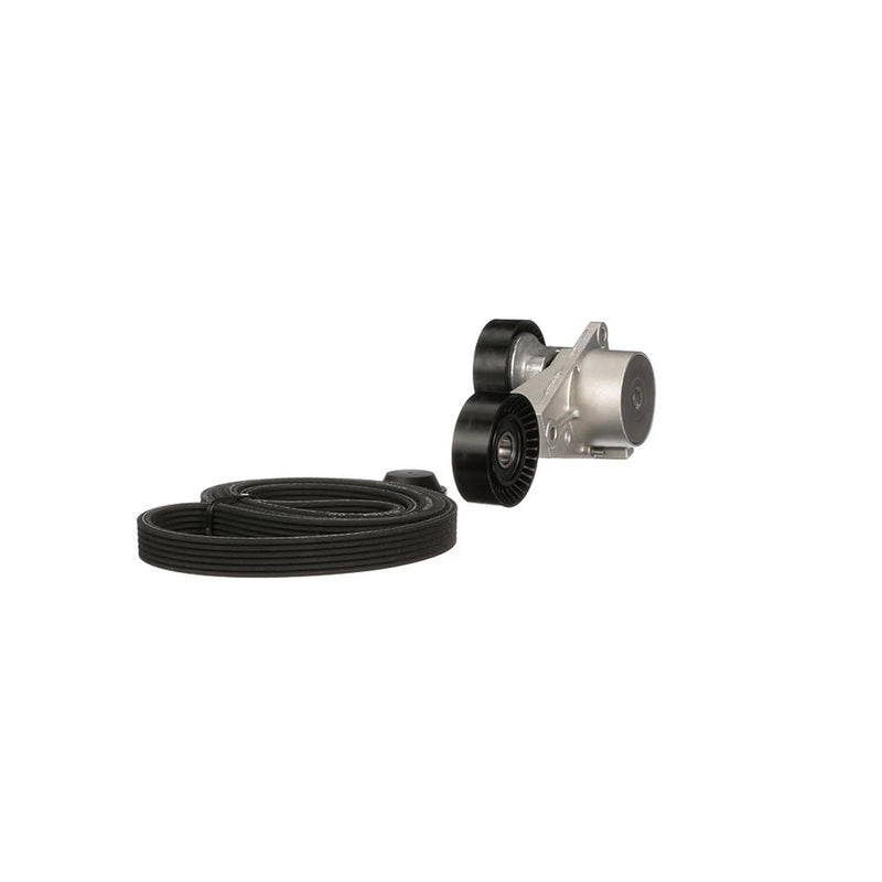 Gates V-Ribbed Belt Set K016DPK1838