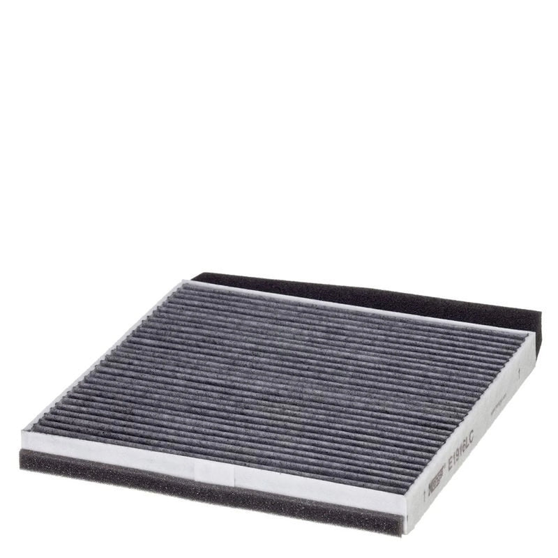 Hengst Cabin Air Filter (Pollen Filter) E1916LC