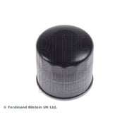 Blue Print Fuel Filter Element ADD62305
