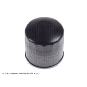 Blue Print Fuel Filter Element ADD62305