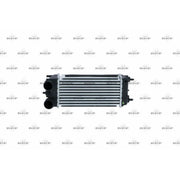 NRF Intercooler (Charge Air Cooler) 30979