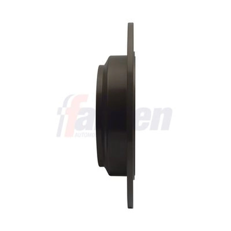 Fahren 2 x Solid Rear Brake Discs FBD6583