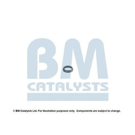 BM Catalysts Fitting Kit FK92384A FK92384A