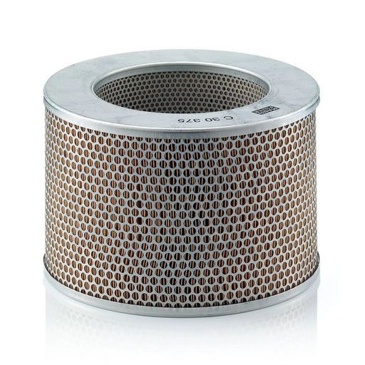 MANN-FILTER Engine Air Filter C 30 375 OE 29504306 43262900 93682599