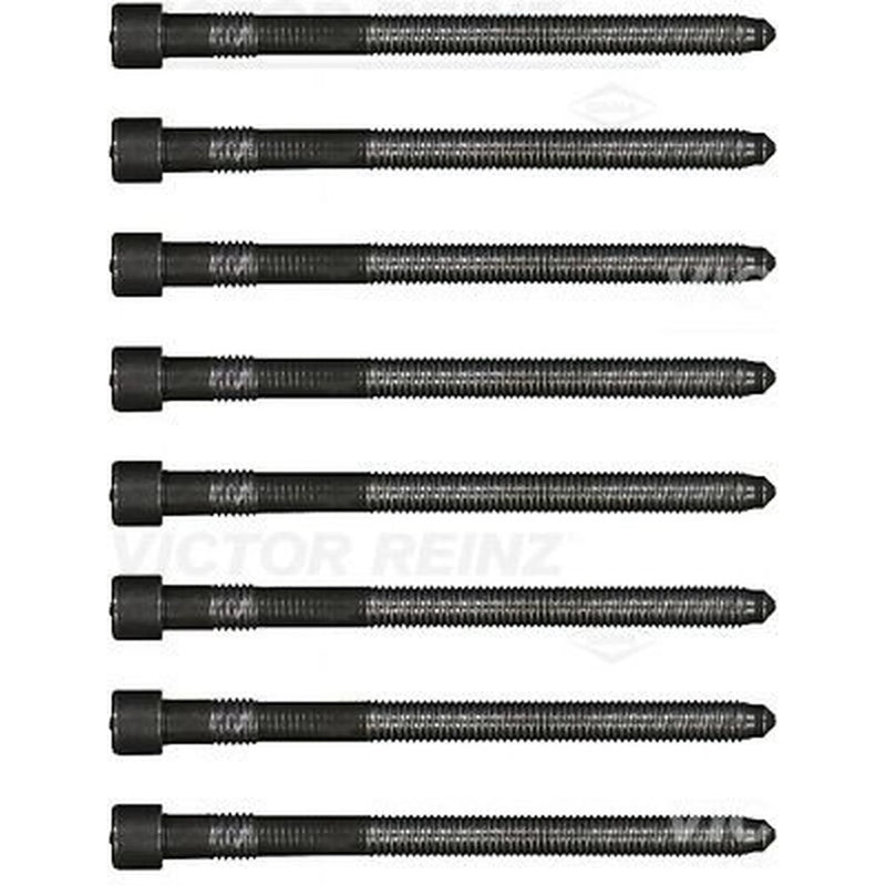 Victor Reinz Cylinder Head Bolt Set M10 14-32166-03