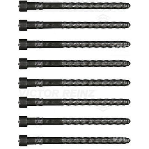 Victor Reinz Cylinder Head Bolt Set M10 14-32166-03