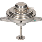 Pierburg Exhaust Gas Recirculation Valve 7.24809.27.0