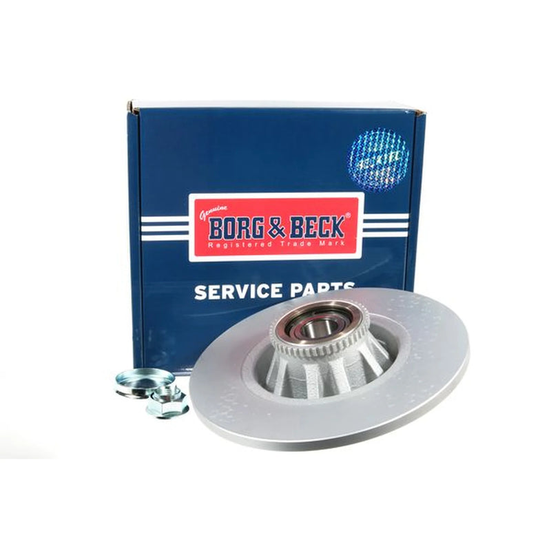 Borg & Beck 2 x Solid Rear Brake Discs BBD5813S