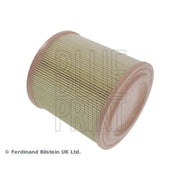 Blue Print Engine Air Filter ADN12254