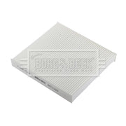 Borg & Beck Cabin Air Filter (Pollen Filter) BFC1224