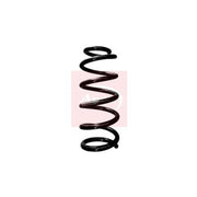 Apec Rear Suspension Coil Spring ACS1913