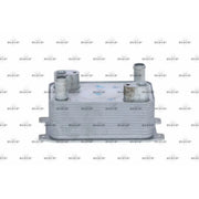 NRF Automatic Gearbox Oil Cooler 31363