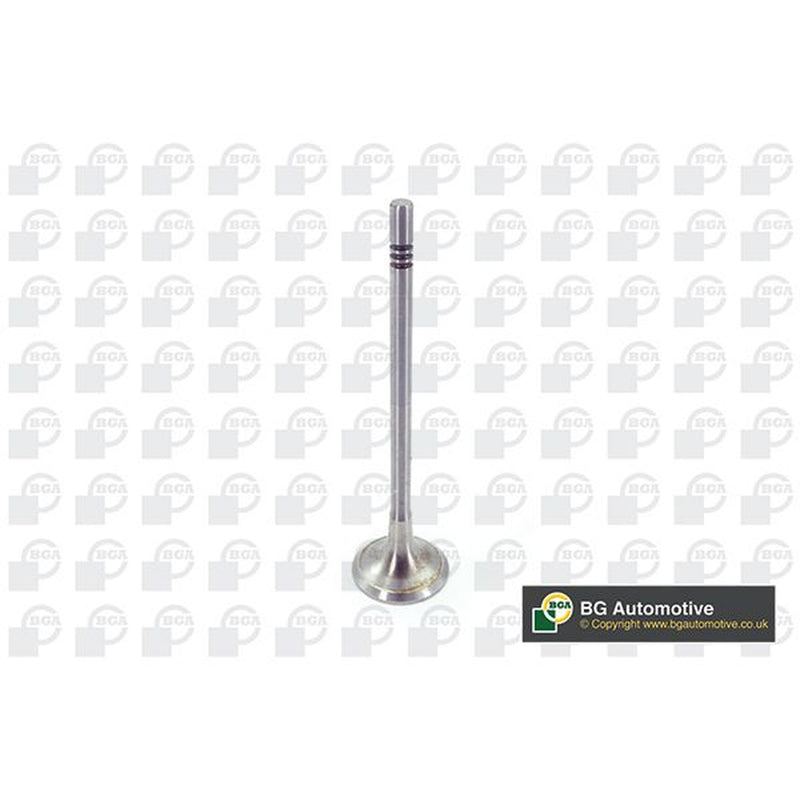 BGA Engine Exhaust Valve 25mm Head V200611