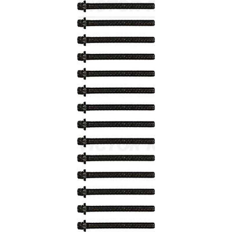 Victor Reinz Cylinder Head Bolt Set M10 14-32002-02