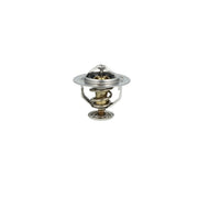 NRF Thermostat,Coolant 725246