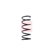 Apec Rear Suspension Coil Spring ACS1400