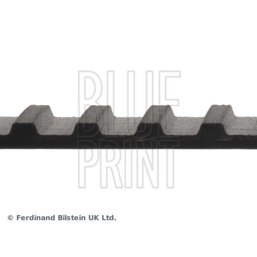 Blue Print Timing Belt Cambelt 95 Teeth ADN17506