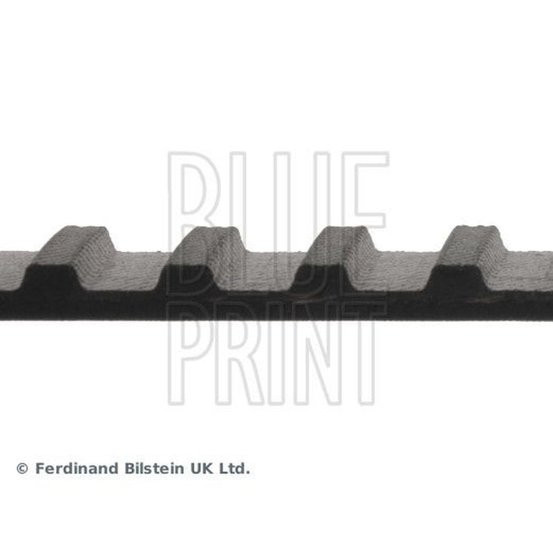 Blue Print Timing Belt Cambelt 95 Teeth ADN17506