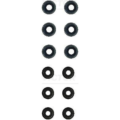 Victor Reinz Valve Stem Seal Set ID High 12-20417-04