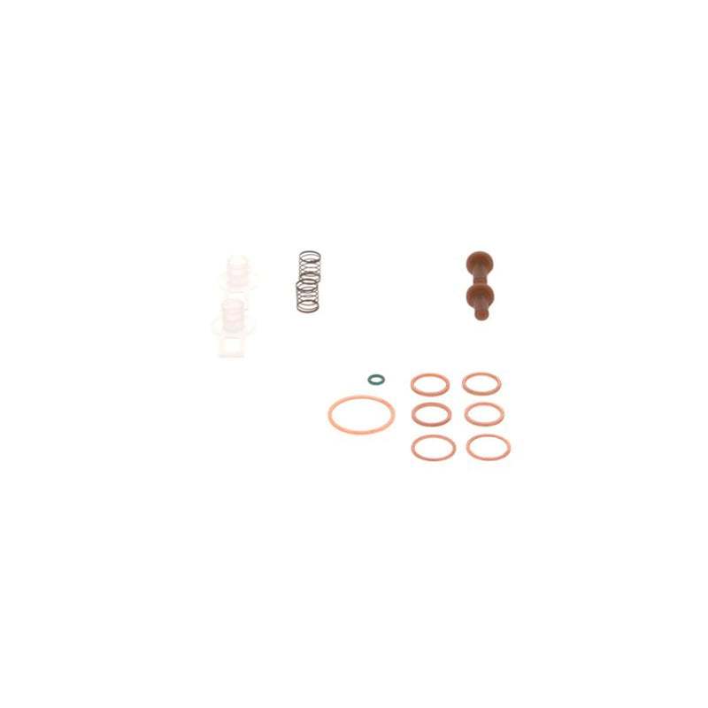 Bosch Fuel Pump Repair Kit 2 447 010 004