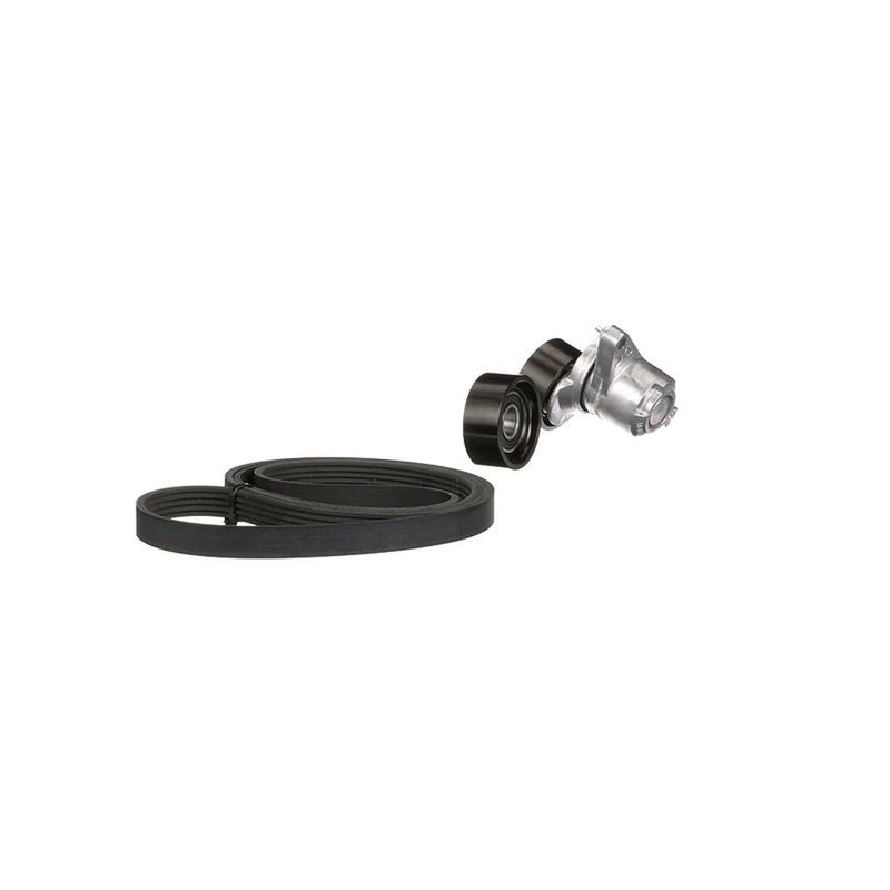 Gates V-Ribbed Belt Set K015PK1750