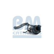 BM Catalysts Dpf BM11175
