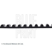 Blue Print Timing Belt Cambelt 174 Teeth ADT37541