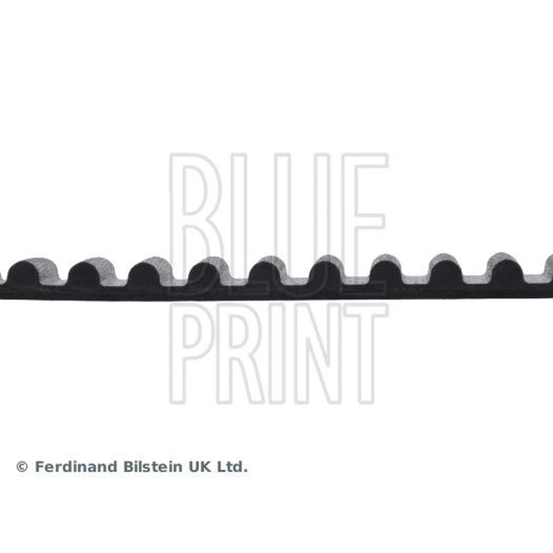 Blue Print Timing Belt Cambelt 174 Teeth ADT37541