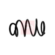 Apec Front Suspension Coil Spring ACS1898
