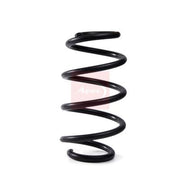 Apec Front Suspension Coil Spring ACS2114