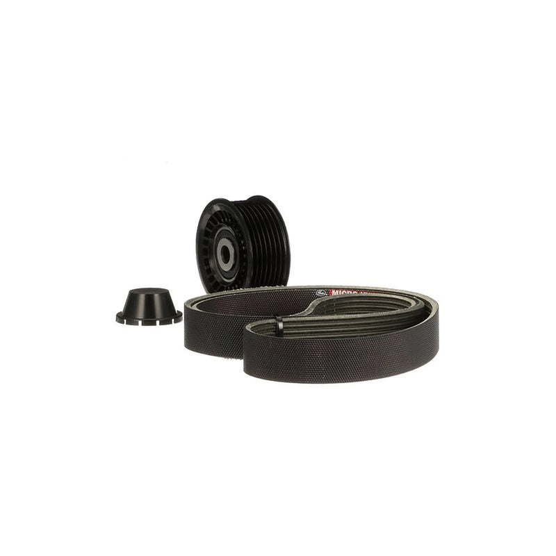 Gates V-Ribbed Belt Set K017PK1179SF