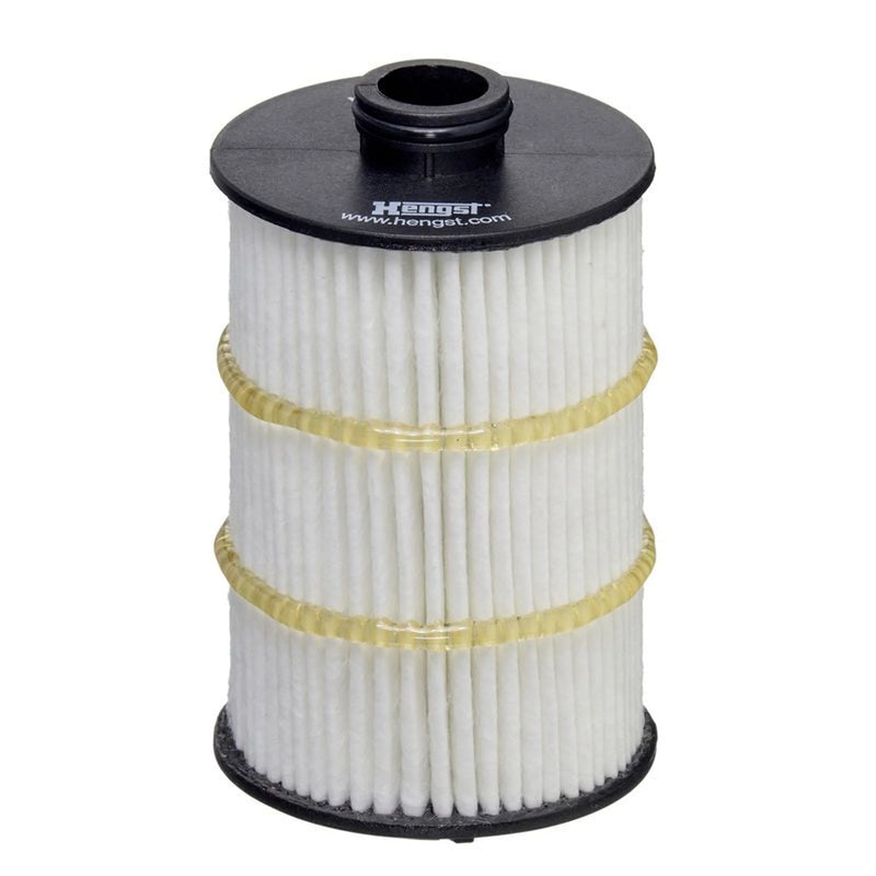 Hengst Engine Oil Filter E861H D413