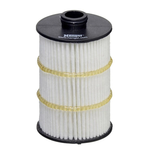 Hengst Engine Oil Filter E861H D413