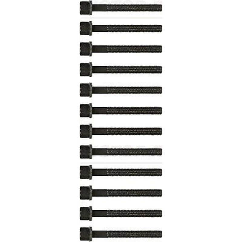 Victor Reinz Cylinder Head Bolt Set M11 14-32046-02