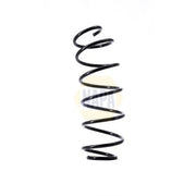 NAPA Front Suspension Coil Spring NCS1543