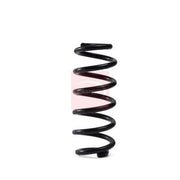 Apec Rear Suspension Coil Spring ACS2003