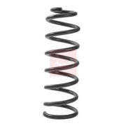 Apec Front Suspension Coil Spring ACS2481
