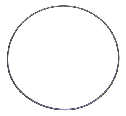 Elring 803.881 Seal Ring
