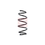 Apec Front Suspension Coil Spring ACS1647