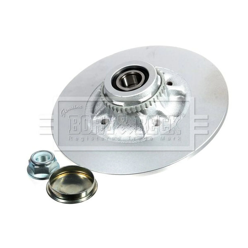 Borg & Beck 2 x Solid Rear Brake Discs BBD5939S