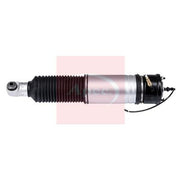 Apec Air Suspension Strut Shock AAS1109