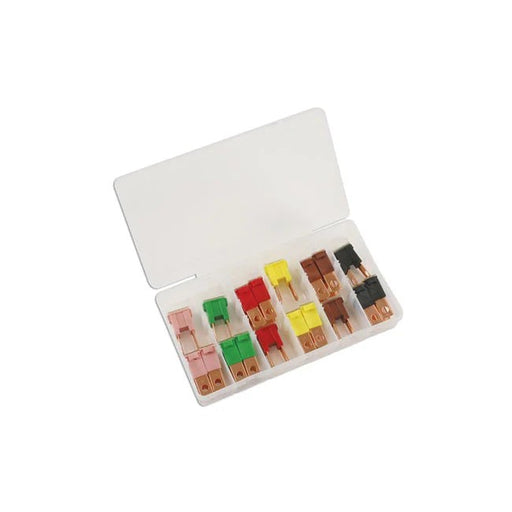 Connect Assorted Male PAL Fuses 18pc - CPL