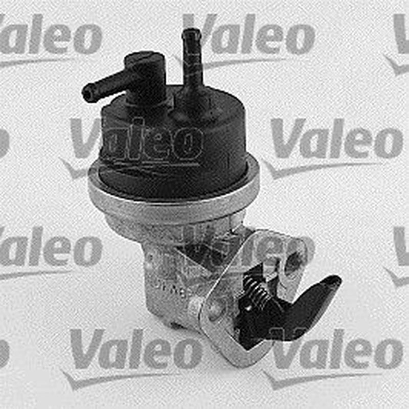 Valeo Fuel Pump Assembly 247058