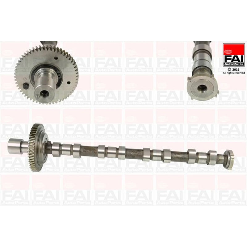 FAI Engine Camshaft Lobes C310